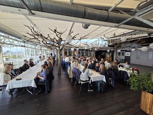 (c) Margit Brunner Gohm