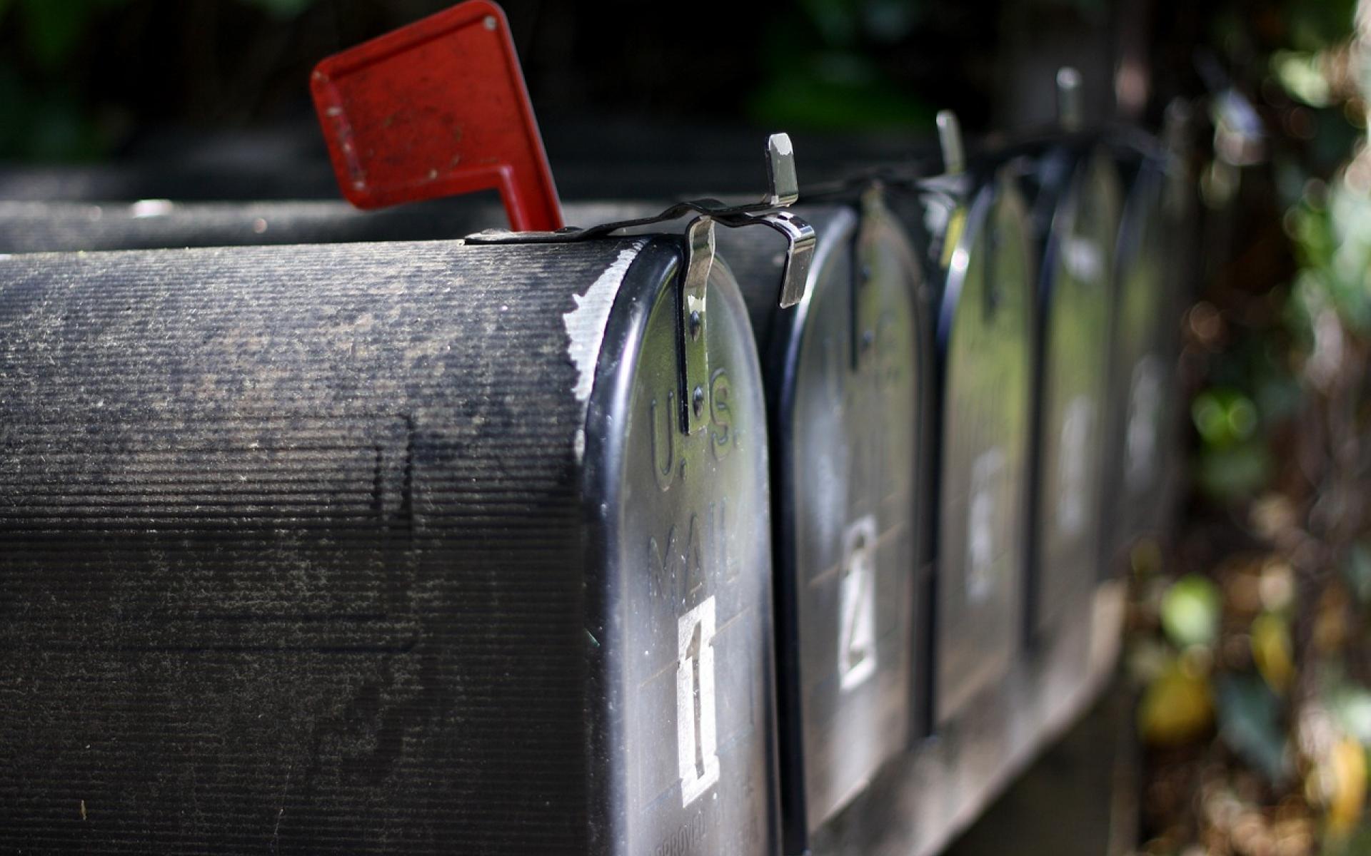 Newsletter